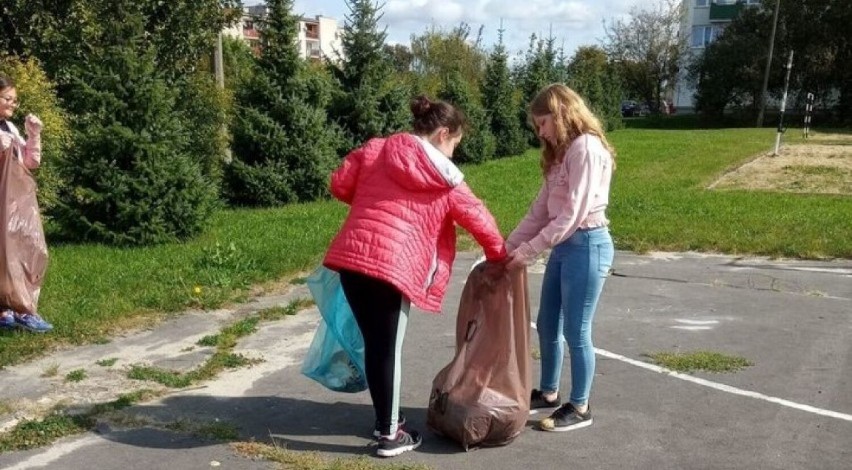 Chełm. Sprzątanie Świata 2021.  Razem posprzątamy miasto