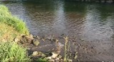 Ścieki w Rabie. Słoneczny weekend zaczął się od awarii oczyszczalni w Dobczycach. Wędkarze ostrzegają osoby wypoczywające nad rzeką
