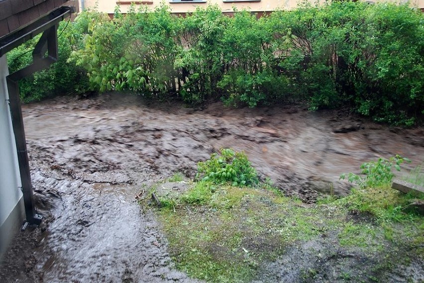 Czechy: nauczyciele z Karczemek ratują autobus z powodzi [ZDJĘCIA]
