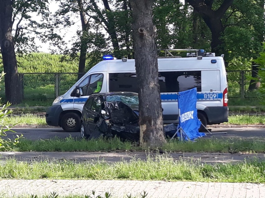 Śmiertelny wypadek na Sępolnie. Samochód uderzył w drzewo, kierowca nie żyje [ZDJĘCIA]