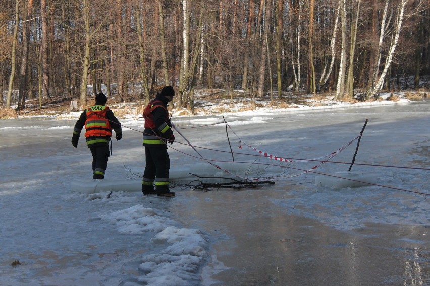 Rybnik: Ćwiczenia strażaków na zamarzniętym stawie