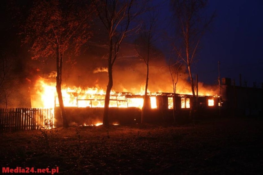 W sobotę po południu w Kruchowie (gm. Trzemeszno) zapaliły...