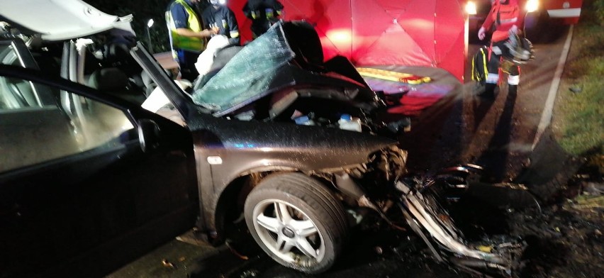 Gmina Przywidz. Śmiertelny wypadek koło Trzepowa. 20-letni kierowca poniósł śmierć na miejscu |ZDJĘCIA