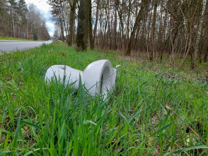 Lasy w powiecie wolsztyńskim wciąż są zaśmiecane