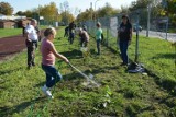 Czeladź. Sadzą 760 drzew na 760-lecie lokacji miasta. Kolejne udane akcje z udziałem mieszkańców za nami