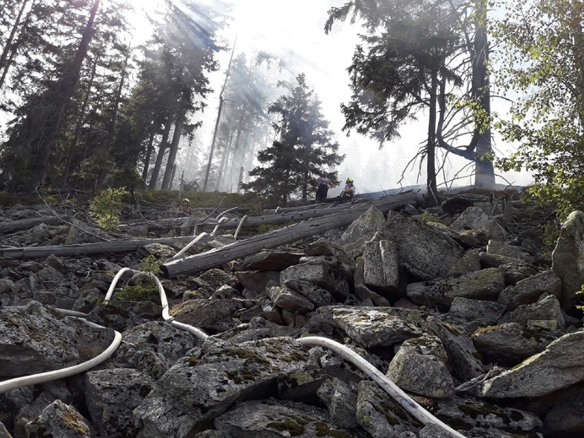 Nasi strażacy pomagali gasić ogromny pożar lasów w Czechach (ZDJĘCIA)