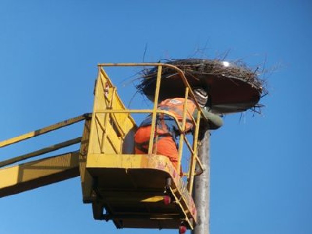 Gniazdo bocianie w Polkowicach powstało na specjalnej platformie.