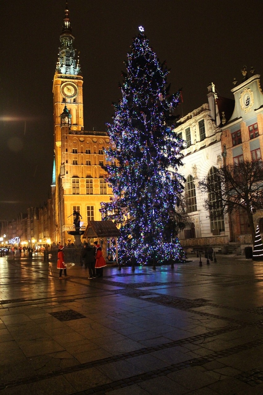 Świąteczne drzewka stanęły już w wielu polskich miastach,...