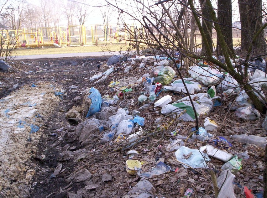 Nielegalne wysypisko śmieci w Zemborzycach Tereszyńskich