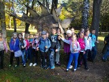 Olsztyn: W czterech świetlicach środowiskowych odbywają się zajęcia dla dzieci