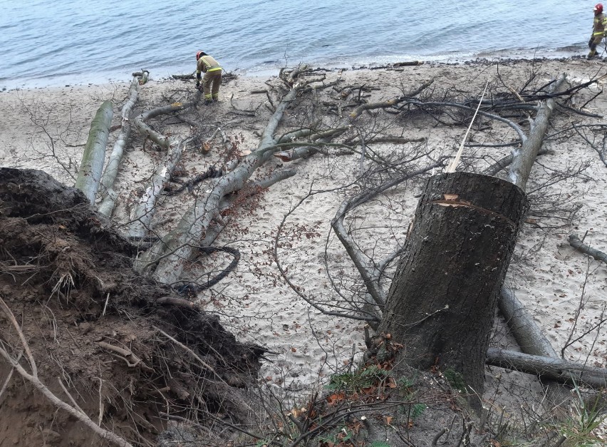 Gdynia: Należy zachować ostrożność podczas spacerów po plaży wzdłuż klifowego wybrzeża. Zagrożenie osuwiskami nie minęło