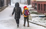 Puste szkoły, mniej ogrzewane, mniej płacono za prąd, a jednak w czasie pandemii w Bydgoszczy koszty utrzymania szkół wzrosły