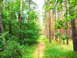 Park Krajobrazowy "Mierzeja Wiślana" zaprasza na  XII Rajd Pieszy Szlakami Mierzei Wiślanej 