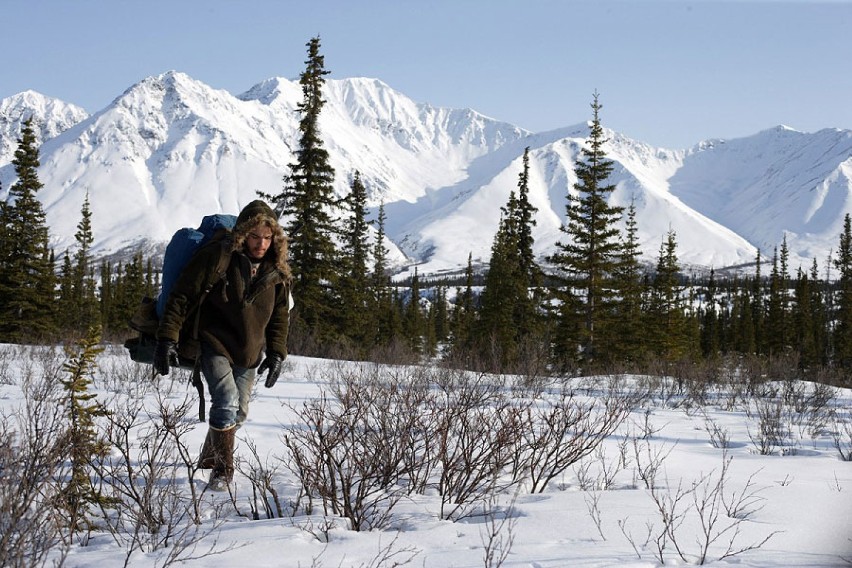 Literalne tłumaczenie filmu "Into the Wild" po polsku mógłby...