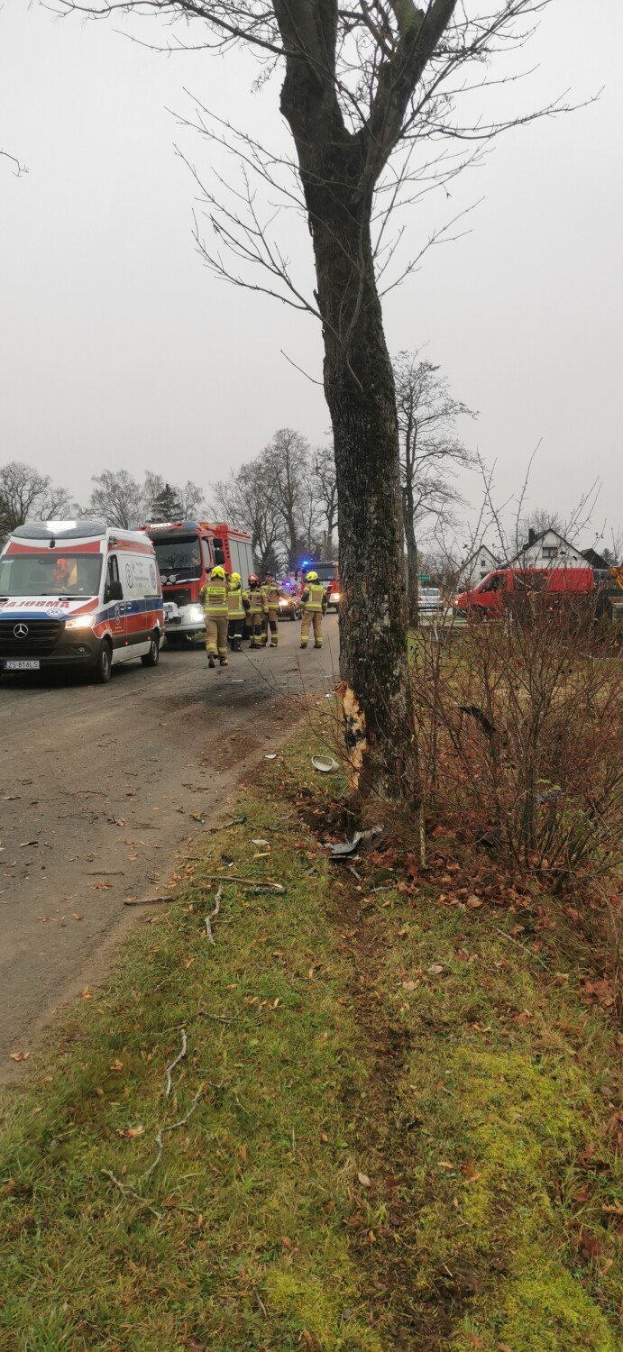 Gmina Darłowo: Osobówka uderzyła w drzewo, jedna osoba trafiła do szpitala