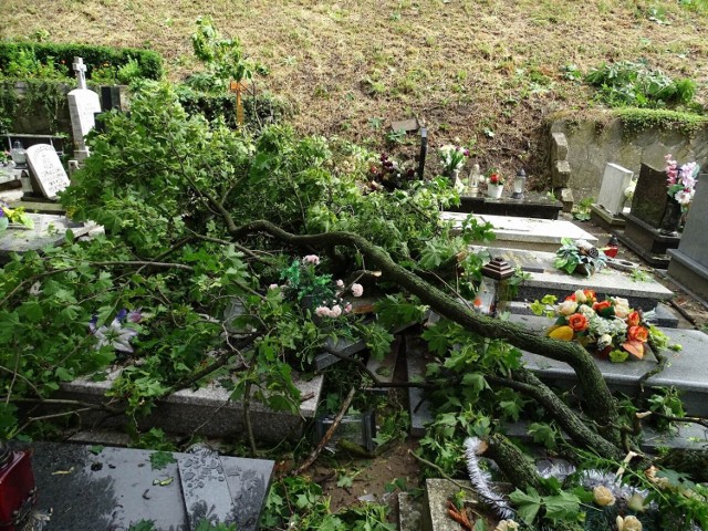 Trwa usuwanie skutków silnego wiatru i burzy w Chełmnie