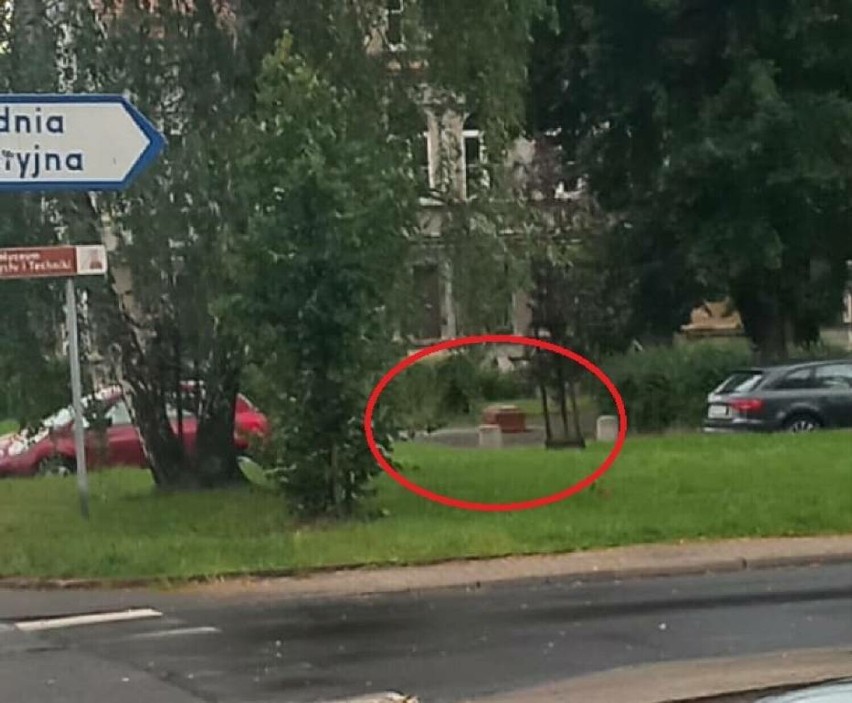 Zagadka trumny leżącej na skwerze w Wałbrzychu rozwiązana. Kibic smutny wynikiem meczu zasnął w trumnie