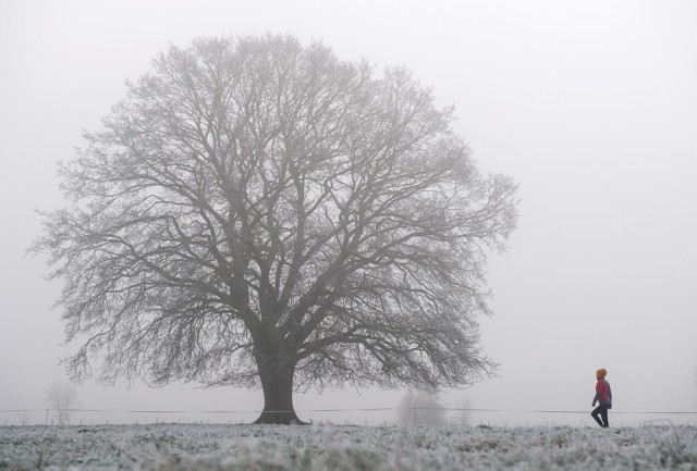 Pogoda w Łodzi i regionie na piątek, 16 grudnia