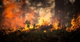 Spłonęło 30 arów torfowiska w Bobrku. Strażacy wciąż czuwają
