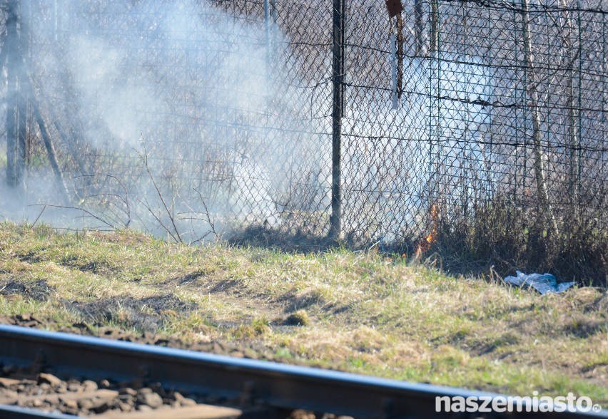 Na wale wzdłuż torów kolejowych w Toruniu płonęła trawa [wideo, zdjęcia]