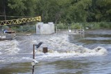 Głogów: Fala wezbraniowa na Odrze przeszła przez miasto. ZDJĘCIA i FILM