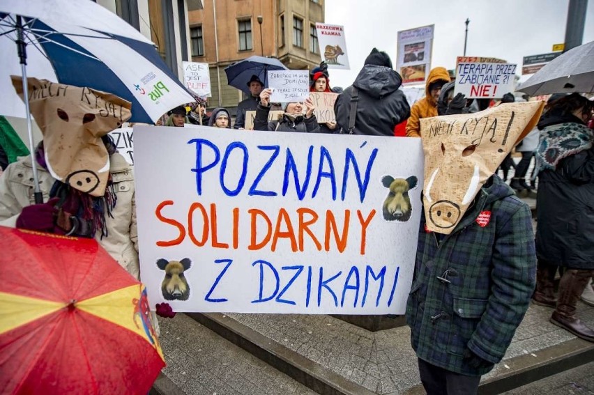 Zdaniem protestujących to ludzie, a nie dziki odpowiadają za...