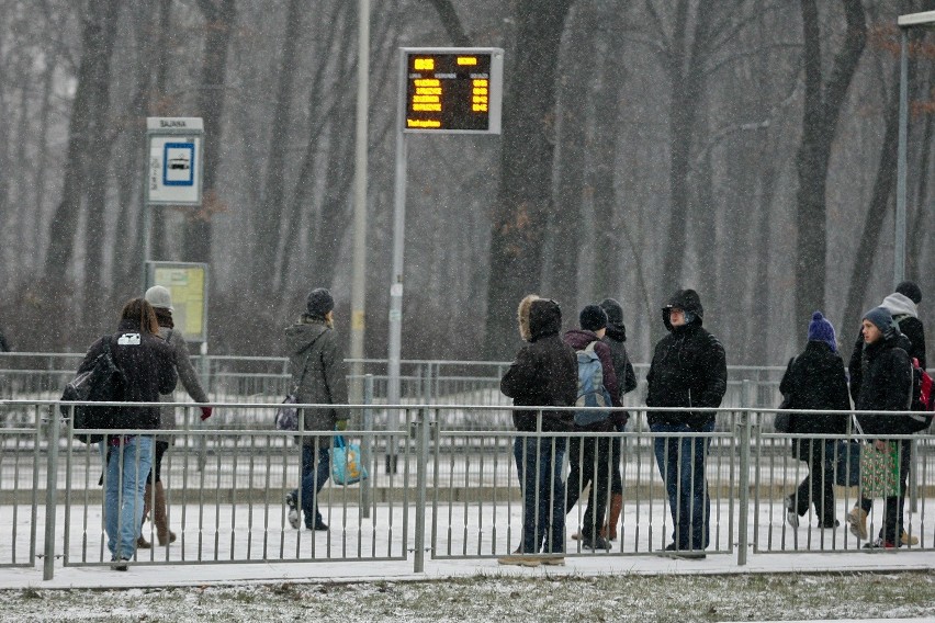 Zimowy Wrocław za oknem. Sypnęło śniegiem w mikołajki (ZDJĘCIA)