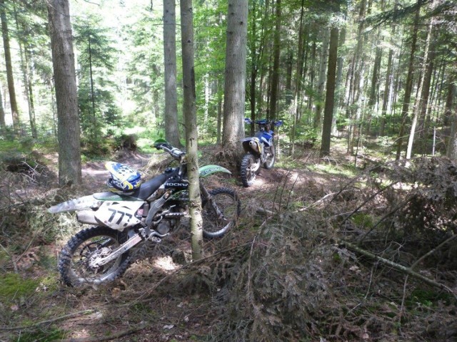 Nielegalna jazda quadami i motocyklami po lasach regionu radomskiego jest prawdziwą plagą.