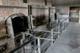 Muzeum na Majdanku: Szklane kurtyny zabezpieczą krematoryjne piece