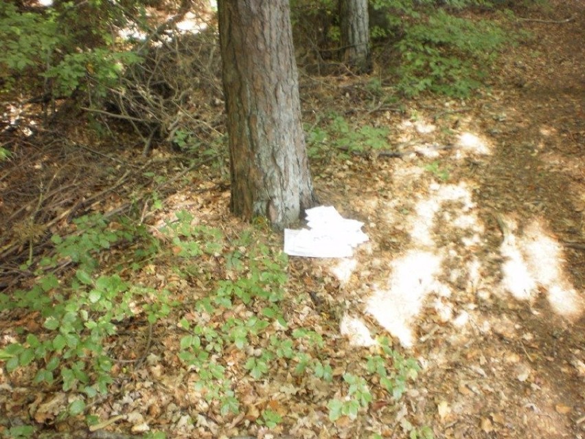 Listy porzucone w lesie w Wejherowie