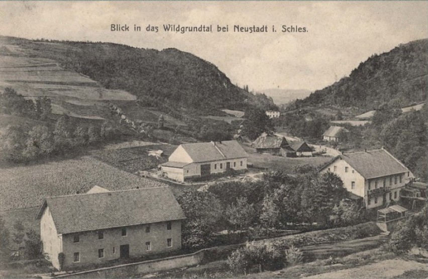 Pokrzywna 1930