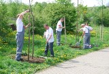 Gdańsk: Społeczne prace na osiedlu Pięciu Wzgórz. Zamontowali ławki i posadzili drzewa