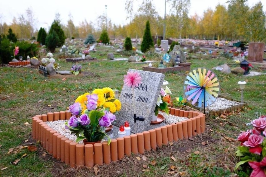 Tak wyglądają cmentarze dla zwierząt w polskich miastach