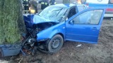Wypadek w Paulinach.  Auto uderzyło w drzewo 