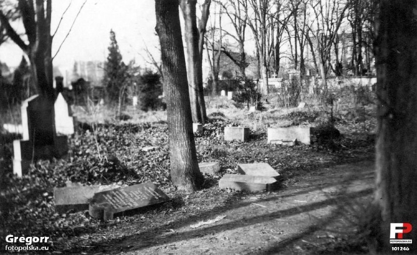 Cmentarz ewangelicki w Strzelinie leżał dawniej poza murami...