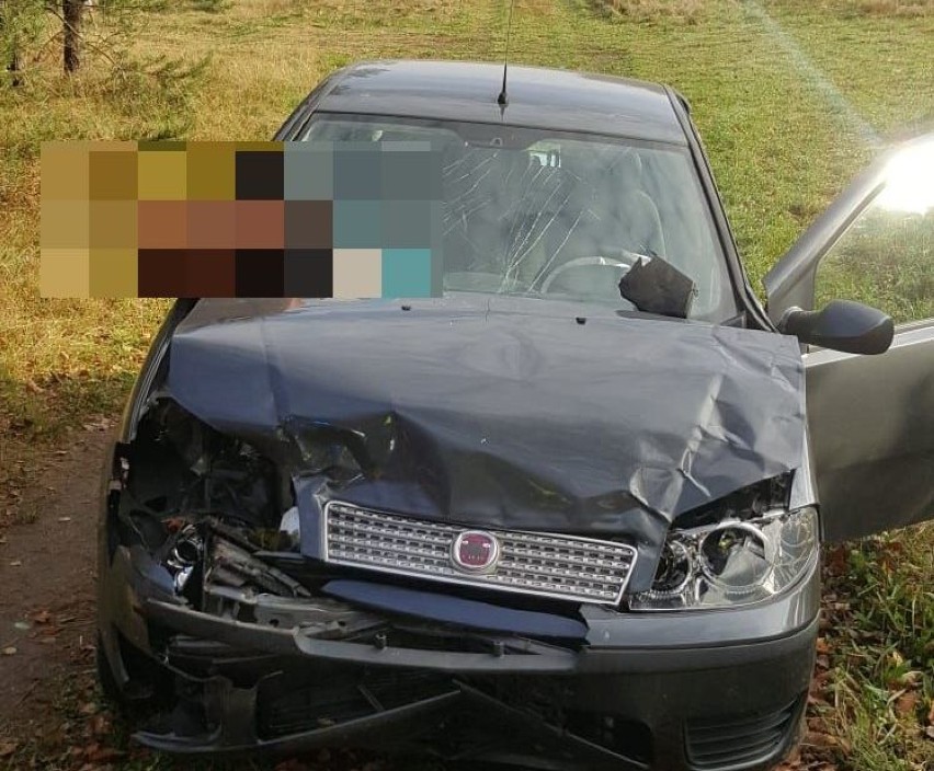 Zderzenie samochodu z jeleniem na DK11 koło Szczecinka [zdjęcia]