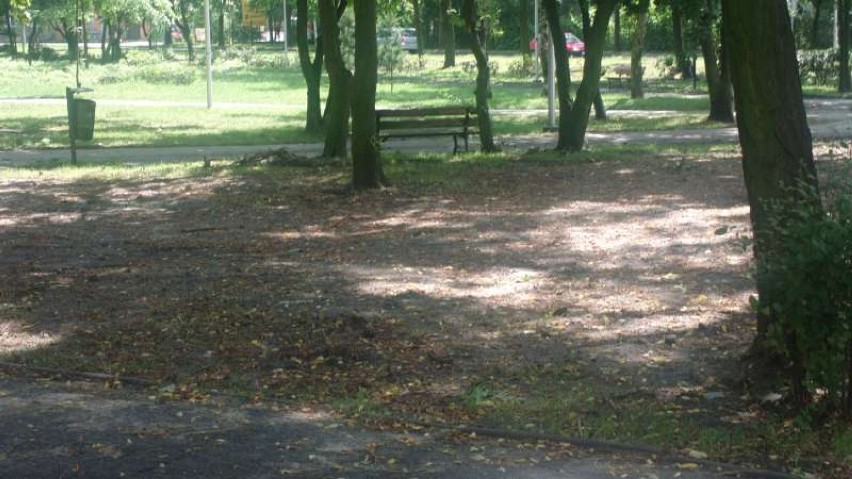 Pleszew - modernizacja kolektora ścieków w parku