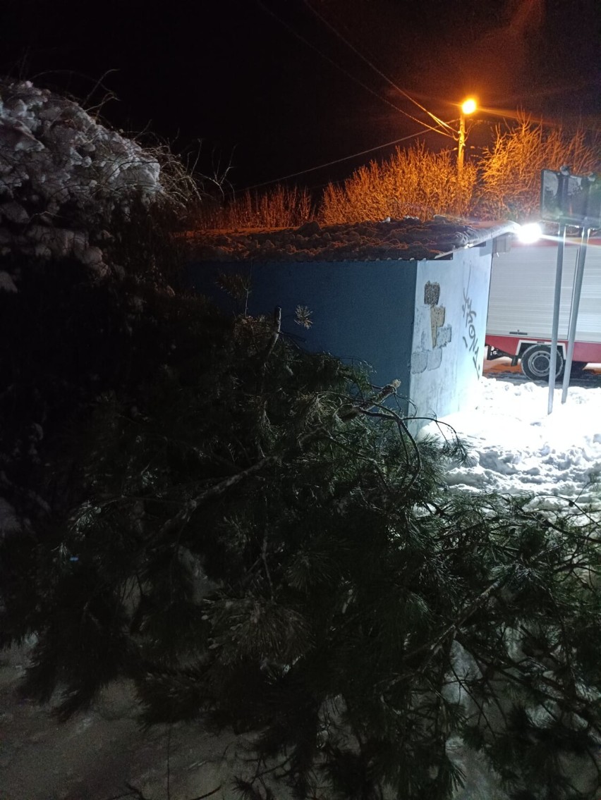 Pod naporem śniegu w powiecie zawierciańskim łamią się drzewa. Strażacy mają dużo pracy