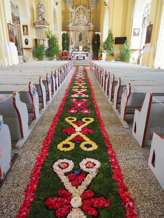 Piękny dywan z kwiatów w kościele pw. Bożego Ciała w Głogowie