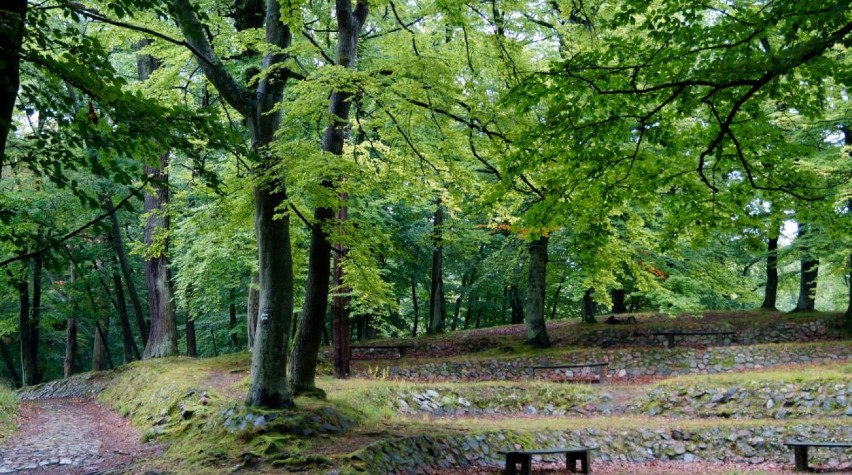 Podbydgoskie Żołędowo wśród najpiękniejszych tras nordic walking w Polsce! 