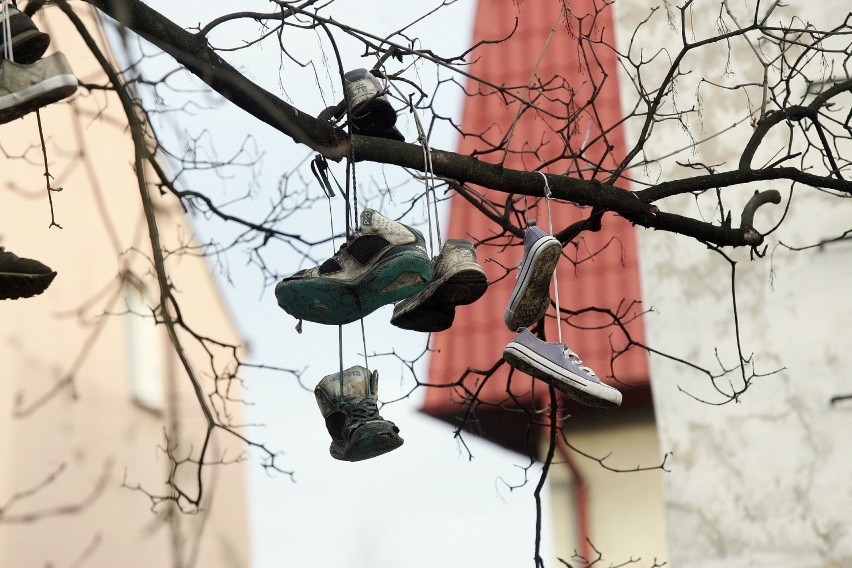 Zużyte buty wiszące na miejskich drutach wiązane są także z...