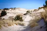 Piękne i unikatowe bałtyckie wydmy. Trochę wiosennej pustyni nad Morzem Bałtyckim