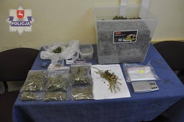 Chełm. Marihuana u 25-latka. W sumie znaleziono 1,5 kg narkotyków.