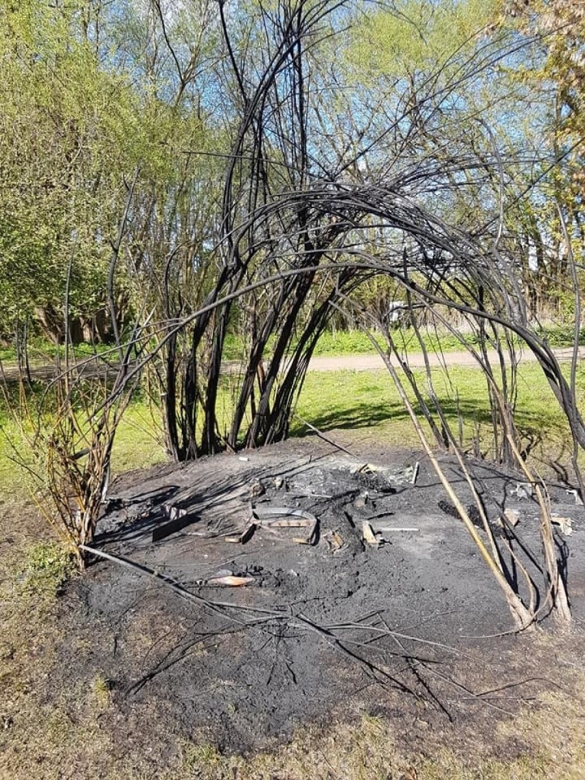 Gdańsk Oliwa: Wandale spalili drewnianą altanę. Policja poszukuje sprawców [ZDJĘCIA]