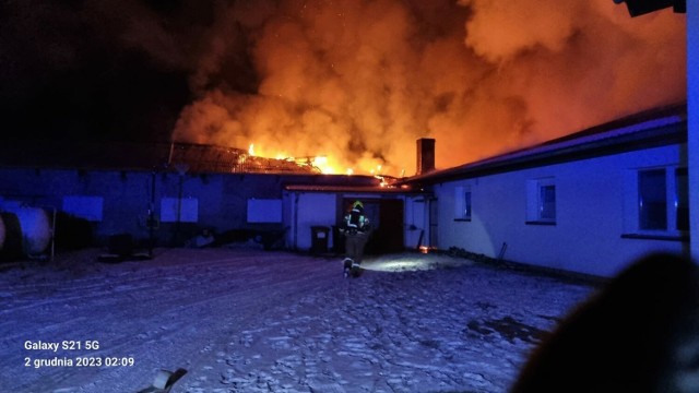 Strażacy dostali wezwanie do pożaru w nocy z 1 na 2 grudnia. Spłonął kurnik, a w nim kilka tysięcy indyków.