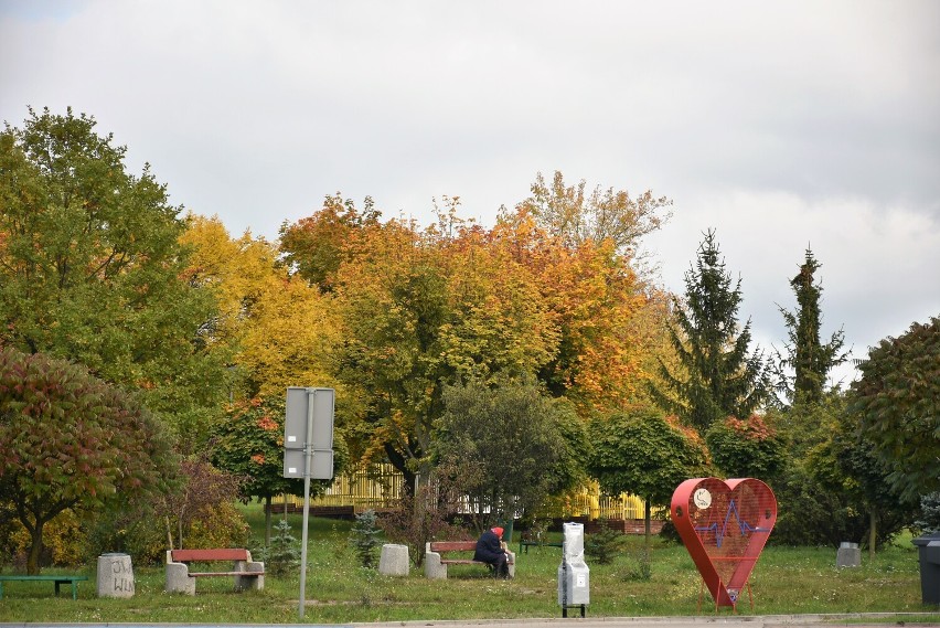 Tak złoci się jesień w chełmskim parku. Zobacz zdjęcia z sobotniego spaceru