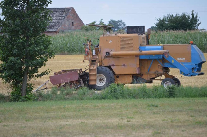 Kombajn Bizon w okolicach Wyszyn w gminie Budzyń tuż po...