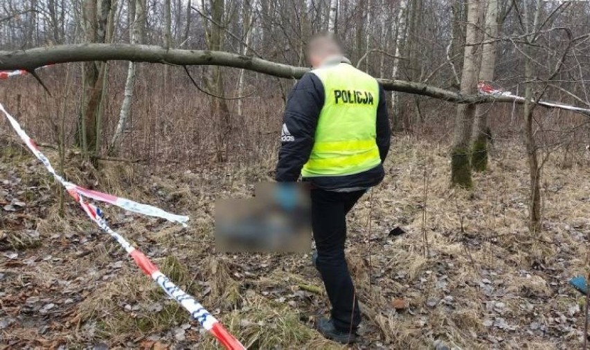 W lesie w miejscowości Graby znaleziono zwłoki mieszkańca Wrześni