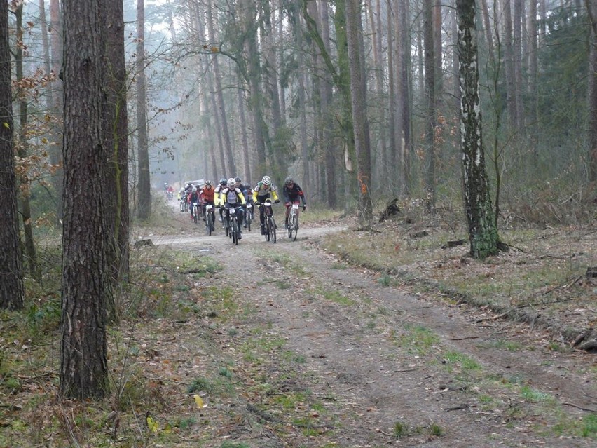 Leśny wyścig MTB w Topoli pod Ostrowem [ZDJĘCIA]