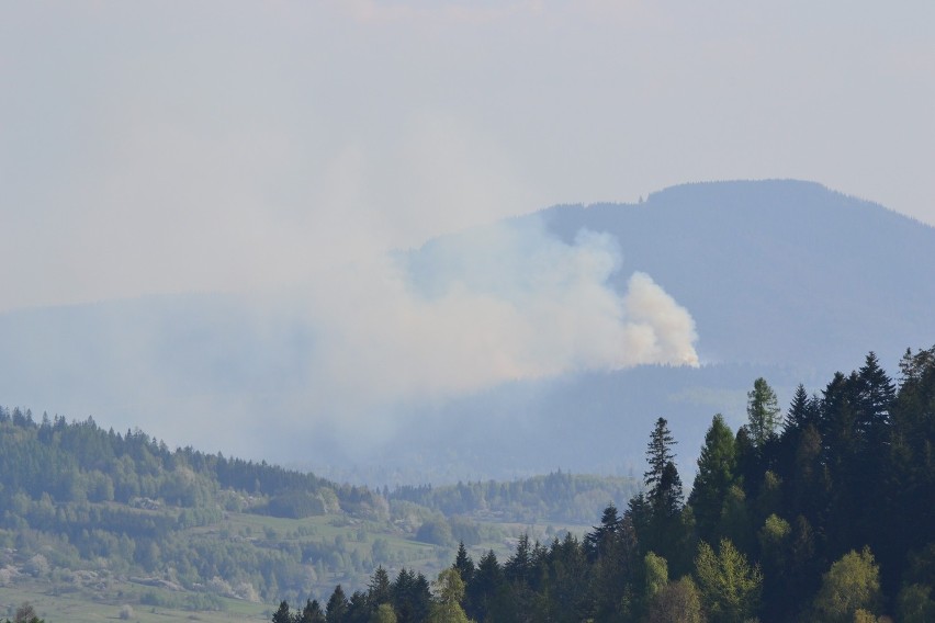 zdjęcia pożaru lasów w ujsołach